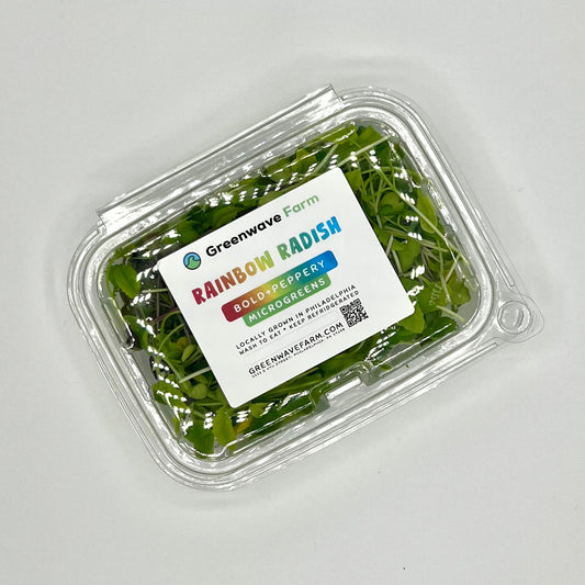 Rainbow Radish