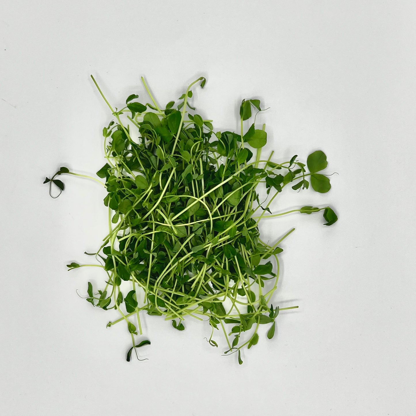 Pea Party
